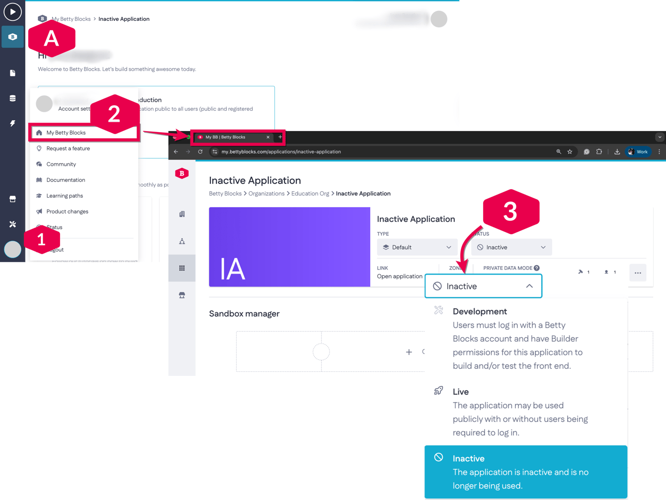 Using application status in the application development cycle